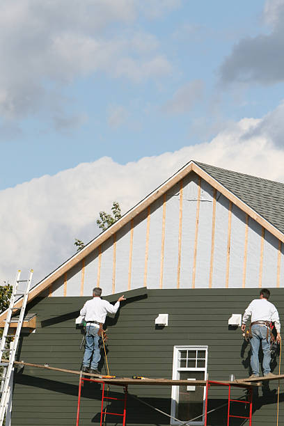 Best Siding Painting and Refinishing  in Wink, TX